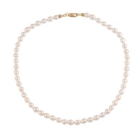 Drop Pearl Necklace with 925 Gold-plated Silver Clasp